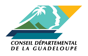 Logo Conseil D‚partemental
